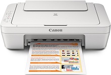Ajuri Canon PIXMA MG2520