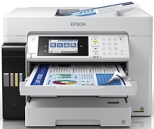 Epson EcoTank L15160 ohjain